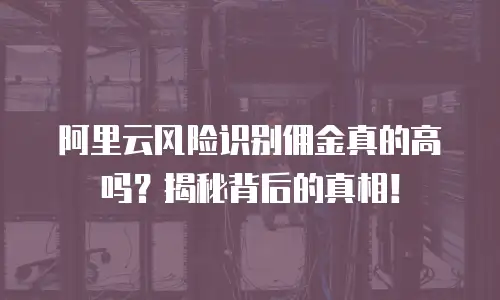 阿里云风险识别佣金真的高吗？揭秘背后的真相！