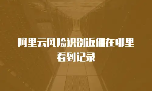 阿里云风险识别返佣在哪里看到记录