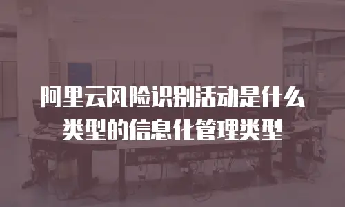 阿里云风险识别活动是什么类型的信息化管理类型