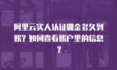 阿里云实人认证佣金多久到账？如何查看账户里的信息？
