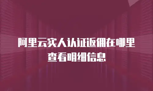 阿里云实人认证返佣在哪里查看明细信息