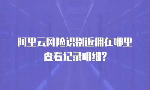 阿里云风险识别返佣在哪里查看记录明细？