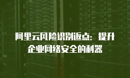 阿里云风险识别返点：提升企业网络安全的利器