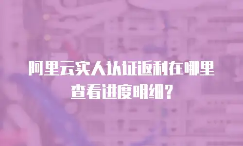 阿里云实人认证返利在哪里查看进度明细？