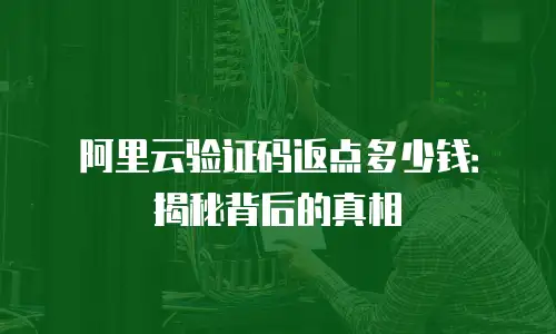 阿里云验证码返点多少钱：揭秘背后的真相