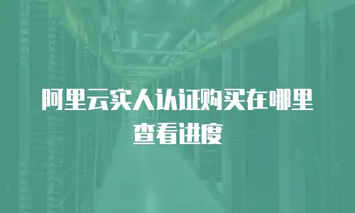 阿里云实人认证购买在哪里查看进度