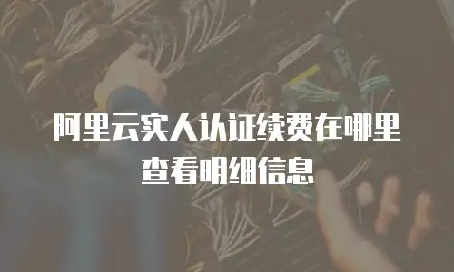 阿里云实人认证续费在哪里查看明细信息