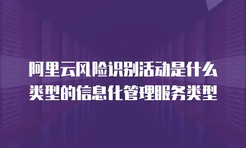 阿里云风险识别活动是什么类型的信息化管理服务类型