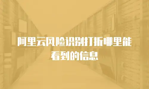 阿里云风险识别打折哪里能看到的信息