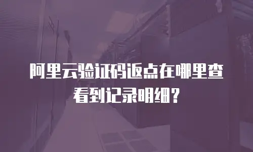 阿里云验证码返点在哪里查看到记录明细？