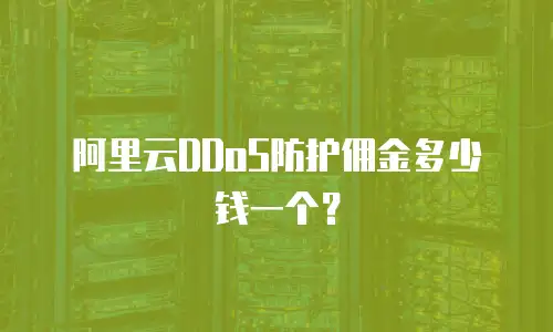 阿里云DDoS防护佣金多少钱一个？