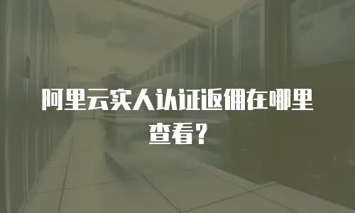 阿里云实人认证返佣在哪里查看？