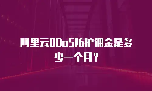 阿里云DDoS防护佣金是多少一个月？
