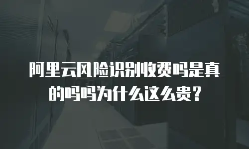 阿里云风险识别收费吗是真的吗吗为什么这么贵？