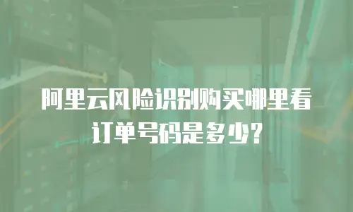 阿里云风险识别购买哪里看订单号码是多少？