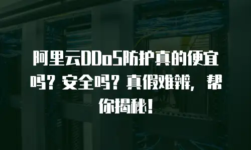 阿里云DDoS防护真的便宜吗？安全吗？真假难辨，帮你揭秘！