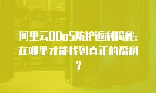 阿里云DDoS防护返利揭秘：在哪里才能找到真正的福利？