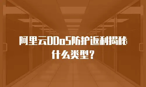 阿里云DDoS防护返利揭秘什么类型？
