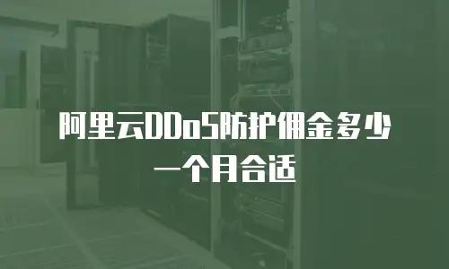 阿里云DDoS防护佣金多少一个月合适
