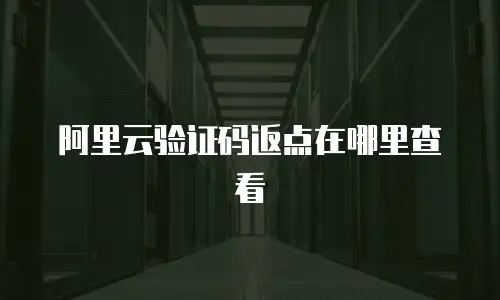阿里云验证码返点在哪里查看