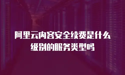 阿里云内容安全续费是什么级别的服务类型吗