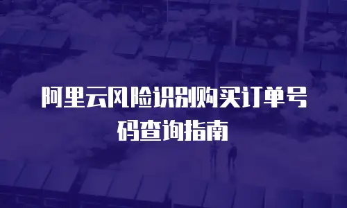 阿里云风险识别购买订单号码查询指南