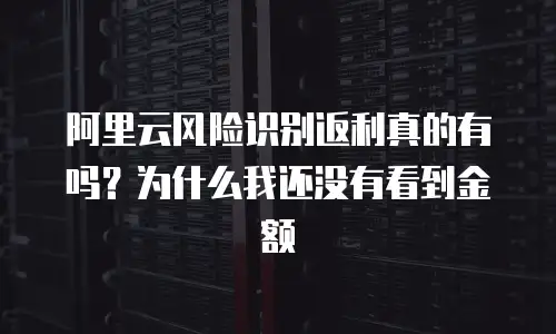 阿里云风险识别返利真的有吗？为什么我还没有看到金额
