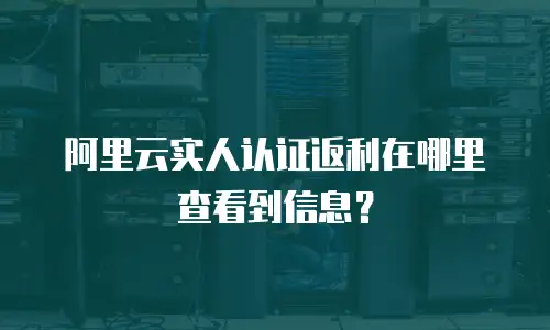 阿里云实人认证返利在哪里查看到信息？
