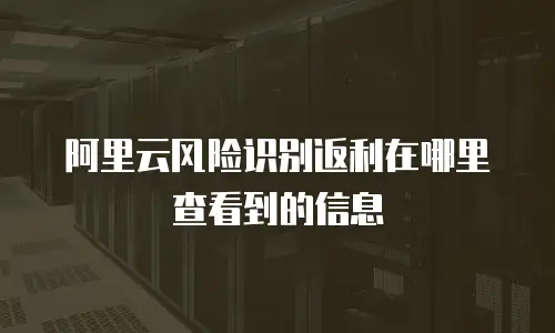 阿里云风险识别返利在哪里查看到的信息