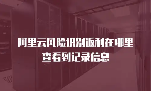 阿里云风险识别返利在哪里查看到记录信息