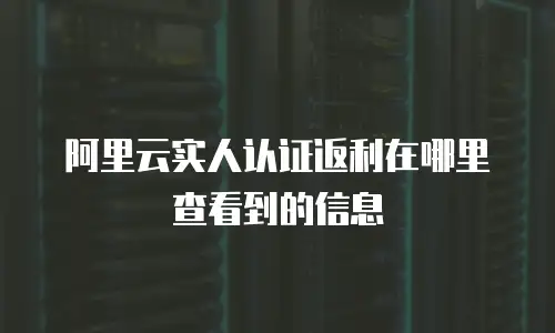 阿里云实人认证返利在哪里查看到的信息