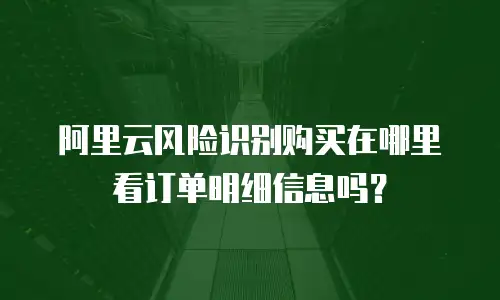 阿里云风险识别购买在哪里看订单明细信息吗？