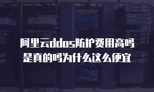 阿里云ddos防护费用高吗是真的吗为什么这么便宜