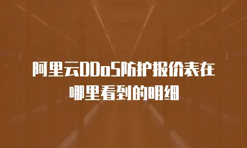 阿里云DDoS防护报价表在哪里看到的明细