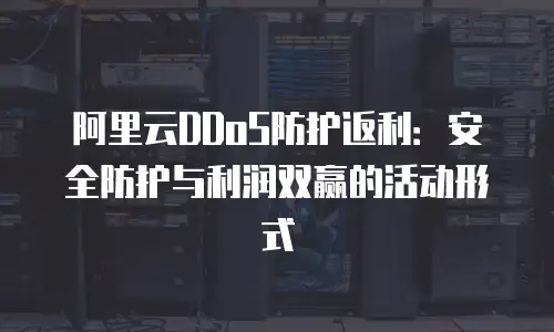 阿里云DDoS防护返利：安全防护与利润双赢的活动形式