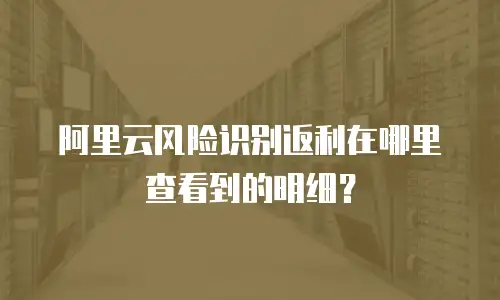 阿里云风险识别返利在哪里查看到的明细？