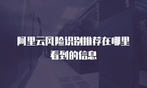 阿里云风险识别推荐在哪里看到的信息