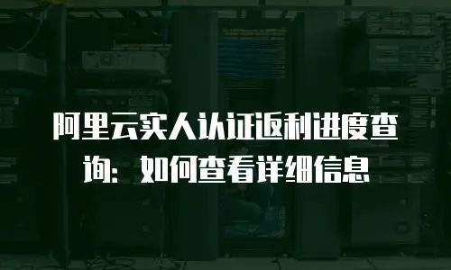 阿里云实人认证返利进度查询：如何查看详细信息