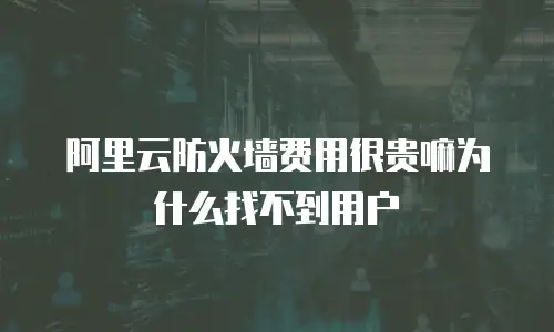 阿里云防火墙费用很贵嘛为什么找不到用户