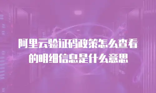 阿里云验证码政策怎么查看的明细信息是什么意思