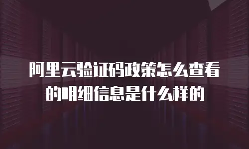 阿里云验证码政策怎么查看的明细信息是什么样的