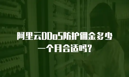 阿里云DDoS防护佣金多少一个月合适吗？