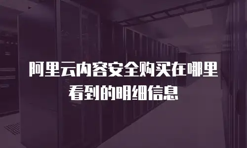 阿里云内容安全购买在哪里看到的明细信息