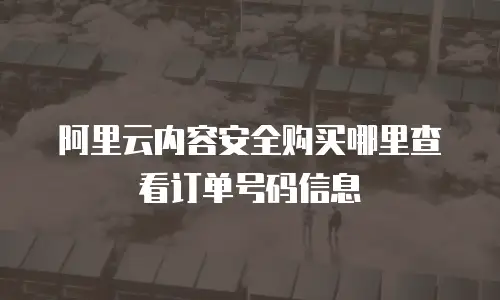 阿里云内容安全购买哪里查看订单号码信息