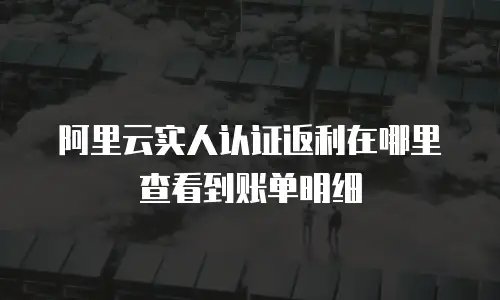 阿里云实人认证返利在哪里查看到账单明细