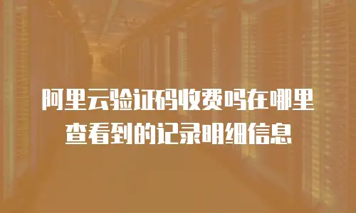 阿里云验证码收费吗在哪里查看到的记录明细信息