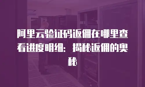 阿里云验证码返佣在哪里查看进度明细：揭秘返佣的奥秘