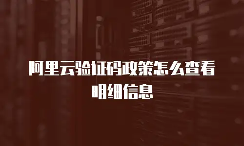 阿里云验证码政策怎么查看明细信息