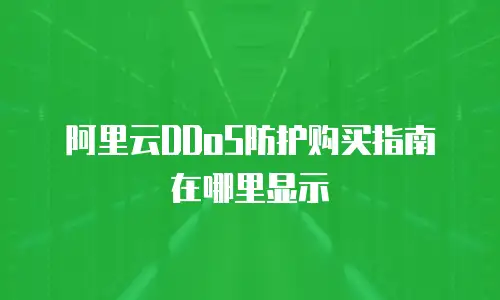 阿里云DDoS防护购买指南在哪里显示