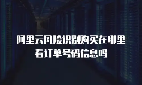 阿里云风险识别购买在哪里看订单号码信息吗